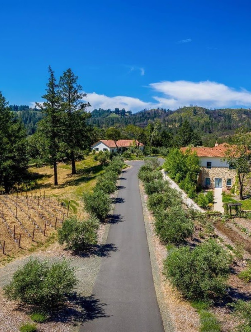 Calistoga Driveway